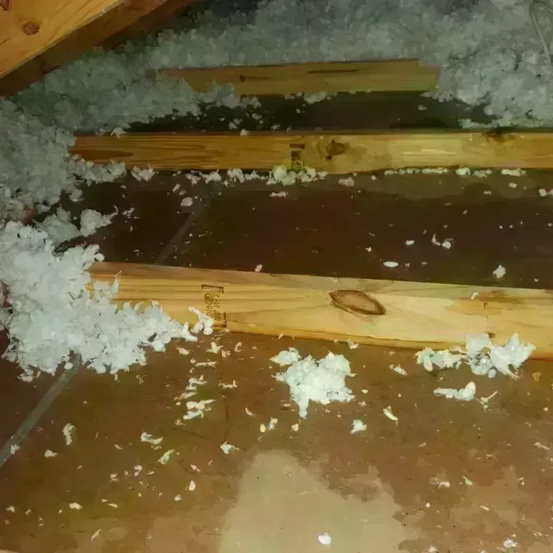 Attic Water Damage in Bandera County, TX